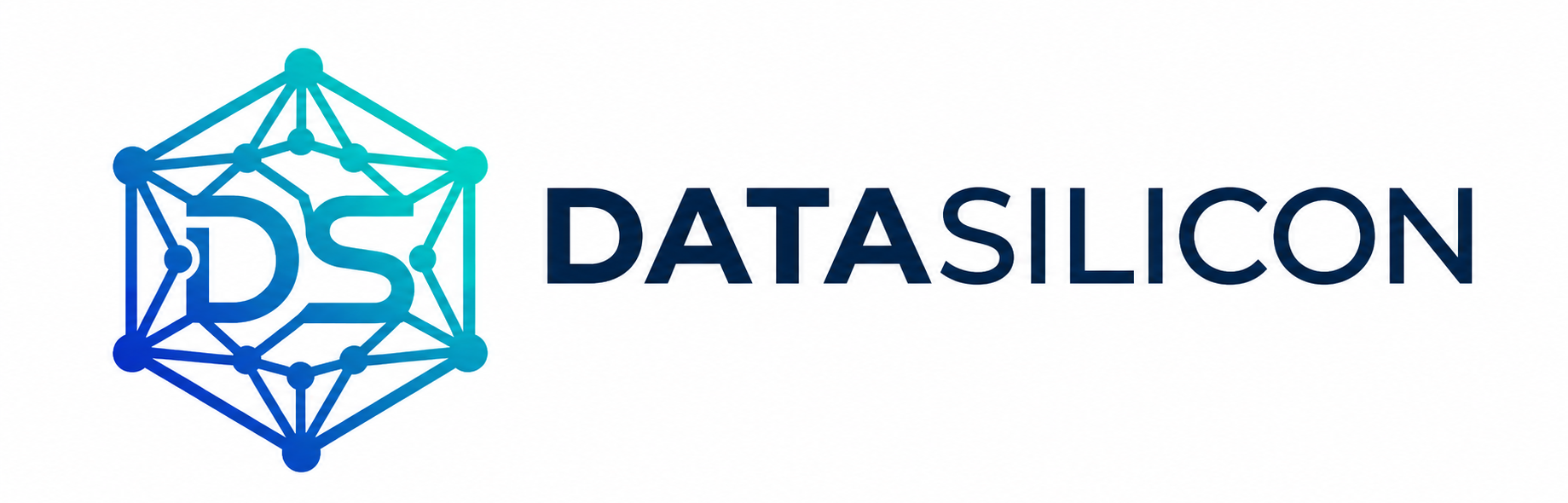 datasilicon