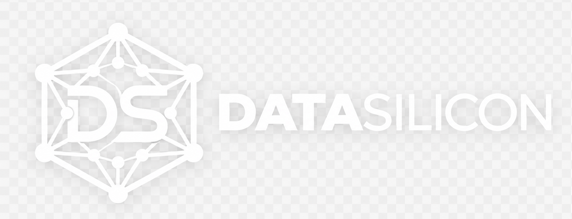 datasilicon